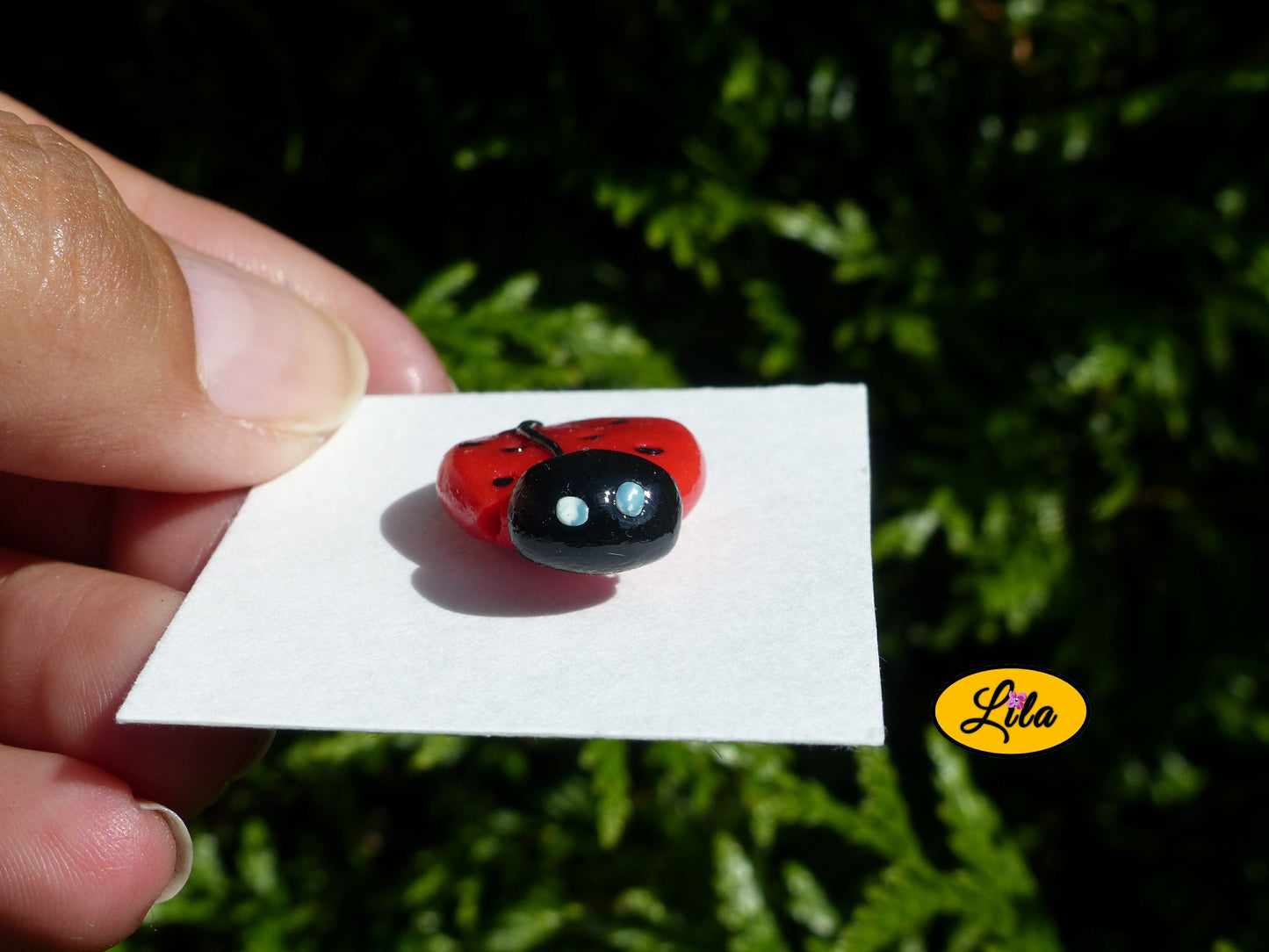 Pin’s coccinelle en pâte polymère sur carton de présentation blanc posé de manière horizontale devant une haie style nature et créatif